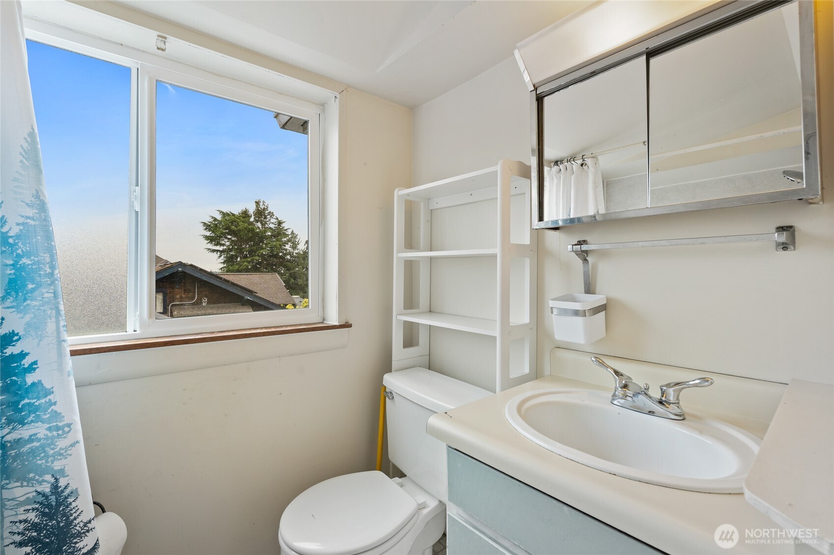 6737 Sycamore Avenue NW Seattle WA 98117