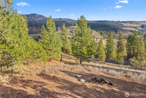 31741 Ringneck Lane E Davenport WA 99122