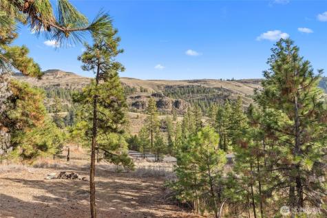 31741 Ringneck Lane E Davenport WA 99122
