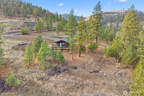 31741 Ringneck Lane E Davenport WA 99122