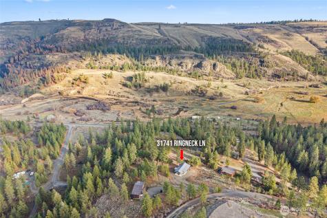 31741 Ringneck Lane E Davenport WA 99122