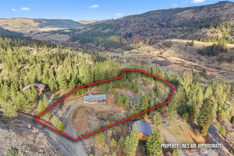 31741 Ringneck Lane E Davenport WA 99122