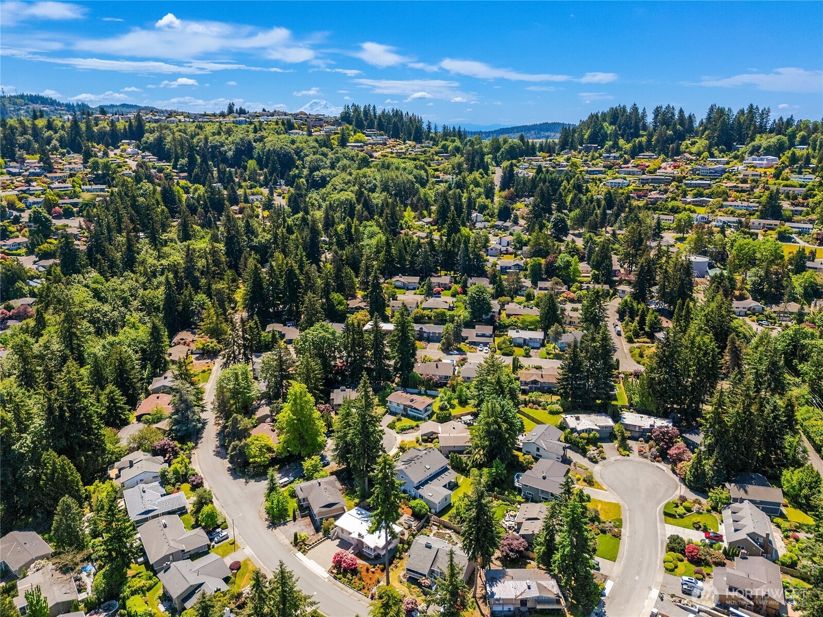 15015 SE 46th Place Bellevue WA 98006