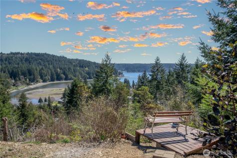 151 NE Myrlis Joy Drive Tahuya WA 98588