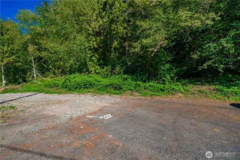 151 NE Myrlis Joy Drive Tahuya WA 98588