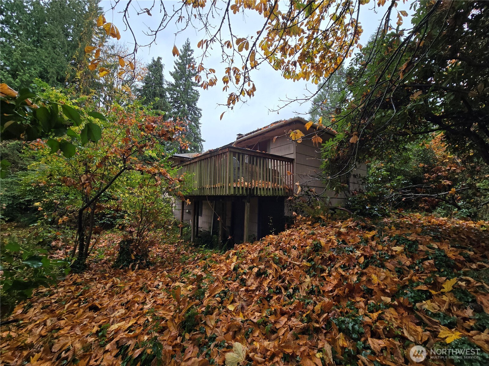 10415 Slater Avenue NE Kirkland WA 98033