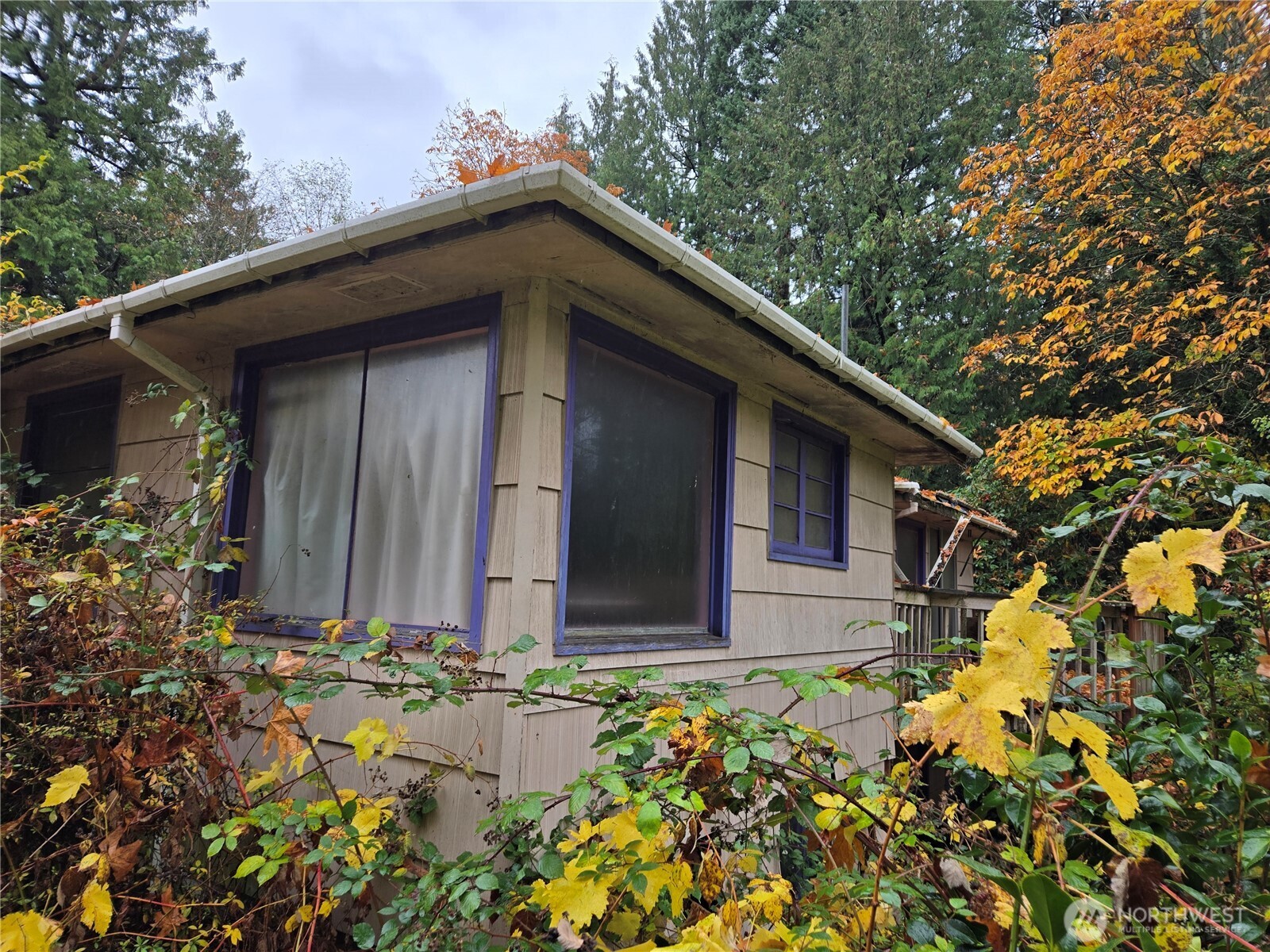 10415 Slater Avenue NE Kirkland WA 98033