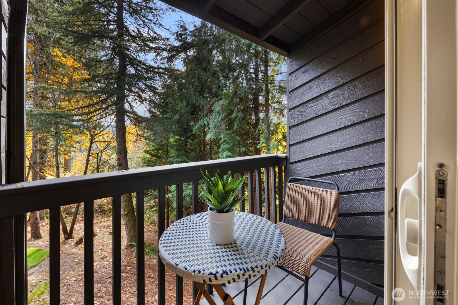 25510 SE 159th Street Issaquah WA 98027
