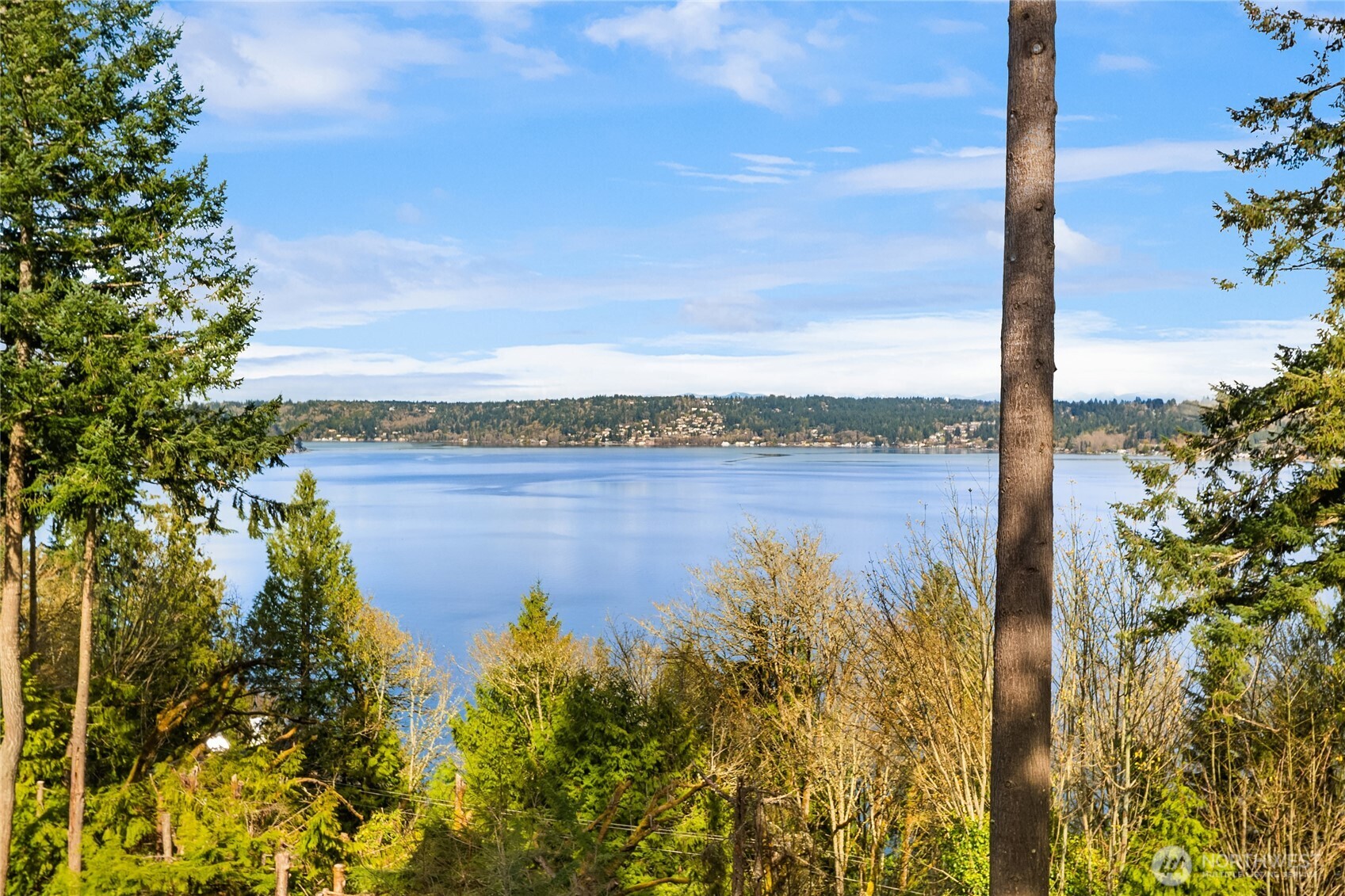 936 170th Place SE Bellevue WA 98008