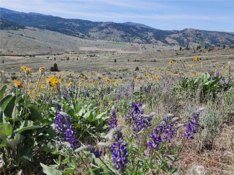0 Morning Sun Road Tonasket WA 98855
