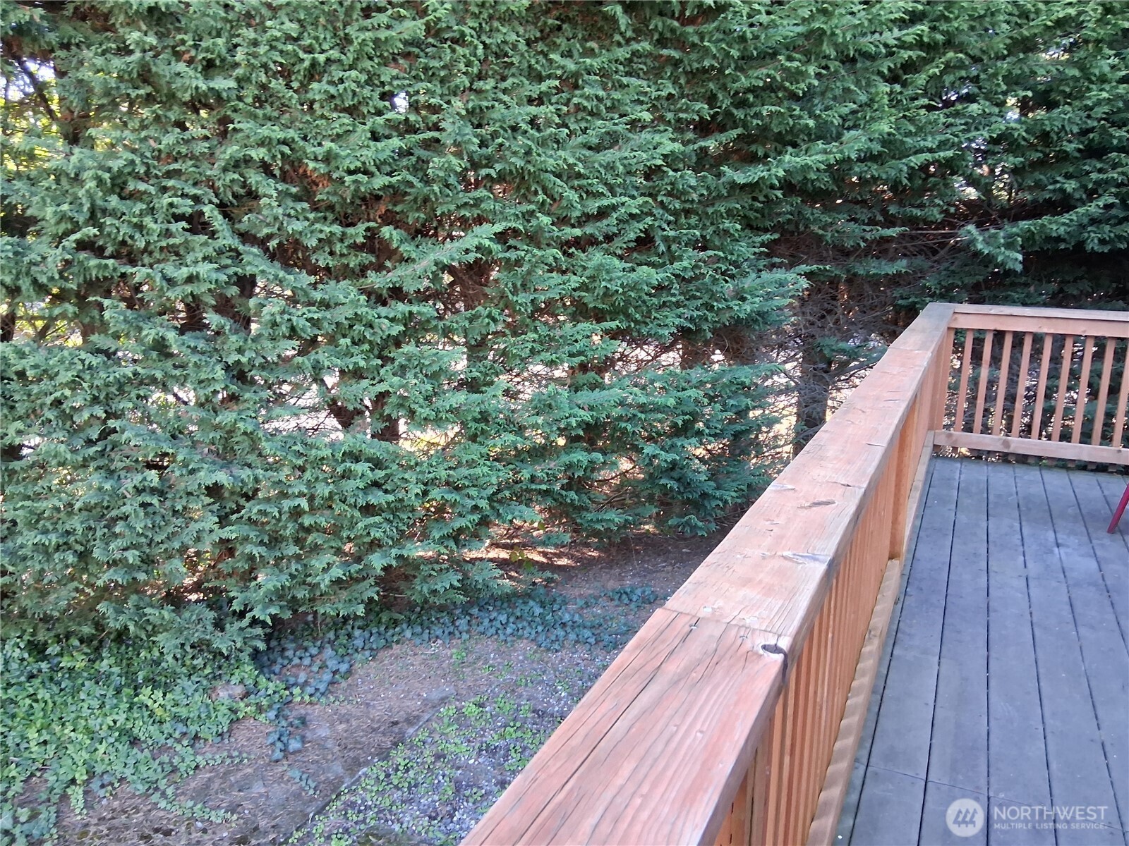 815 124th Street SW Everett WA 98204
