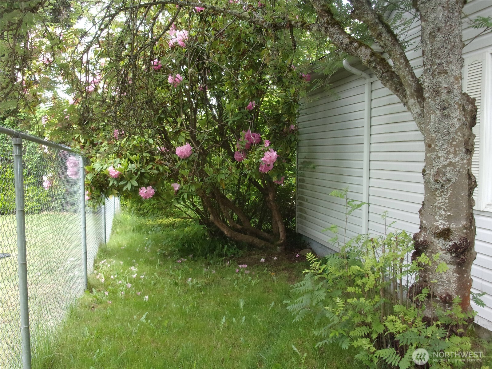 9404 A Street Tacoma WA 98444