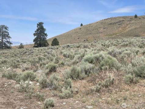 16 Breezy Lane Tonasket WA 98855