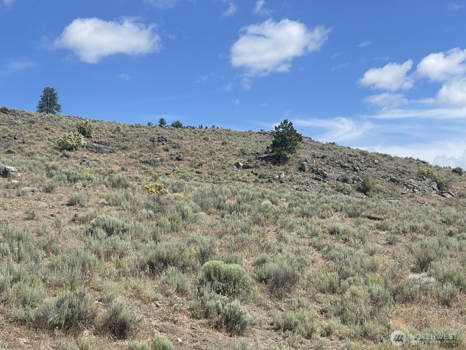 16 Breezy Lane Tonasket WA 98855