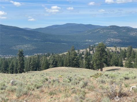 16 Breezy Lane Tonasket WA 98855