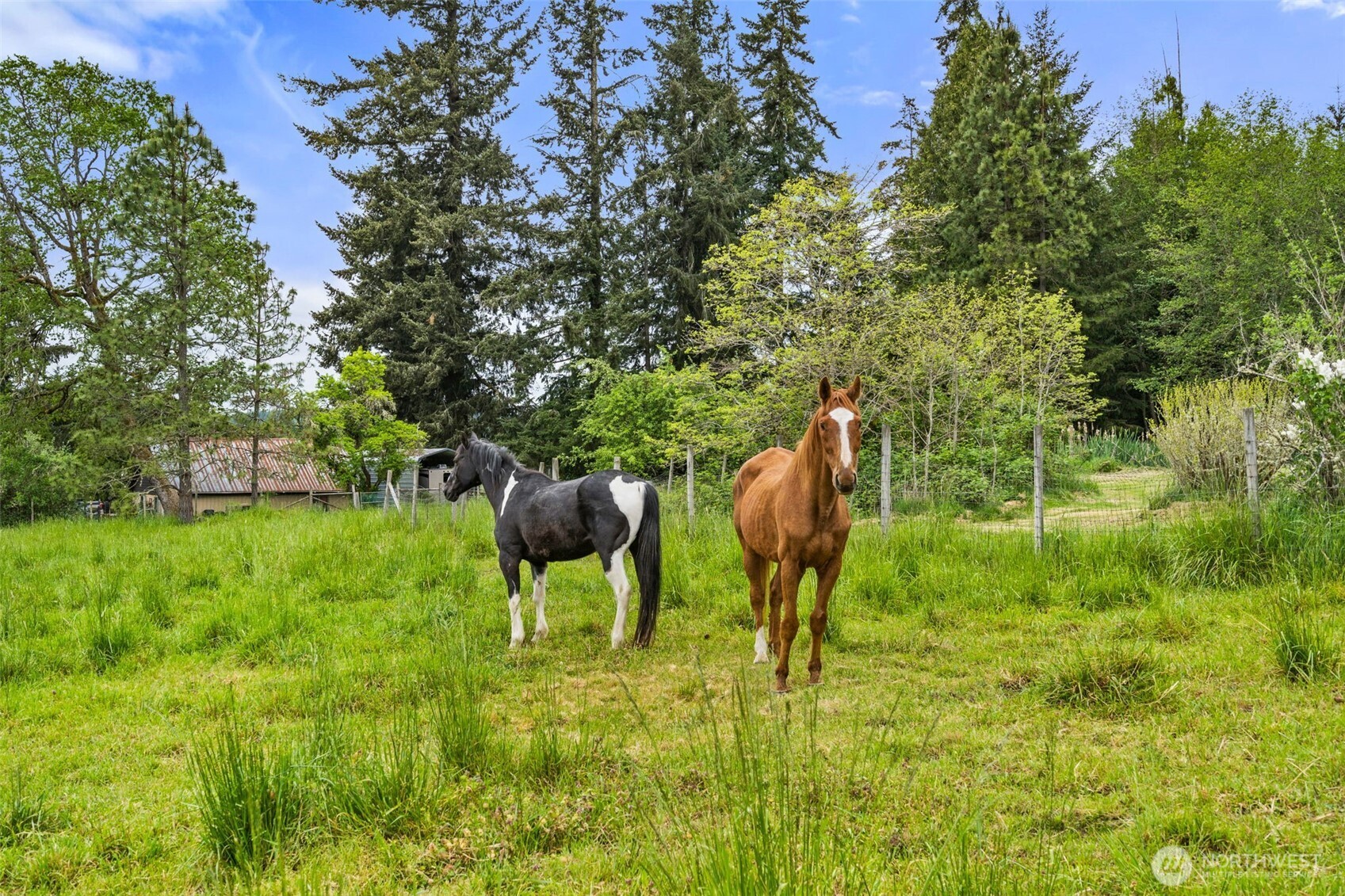 236 Chilvers Road Chehalis WA 98532
