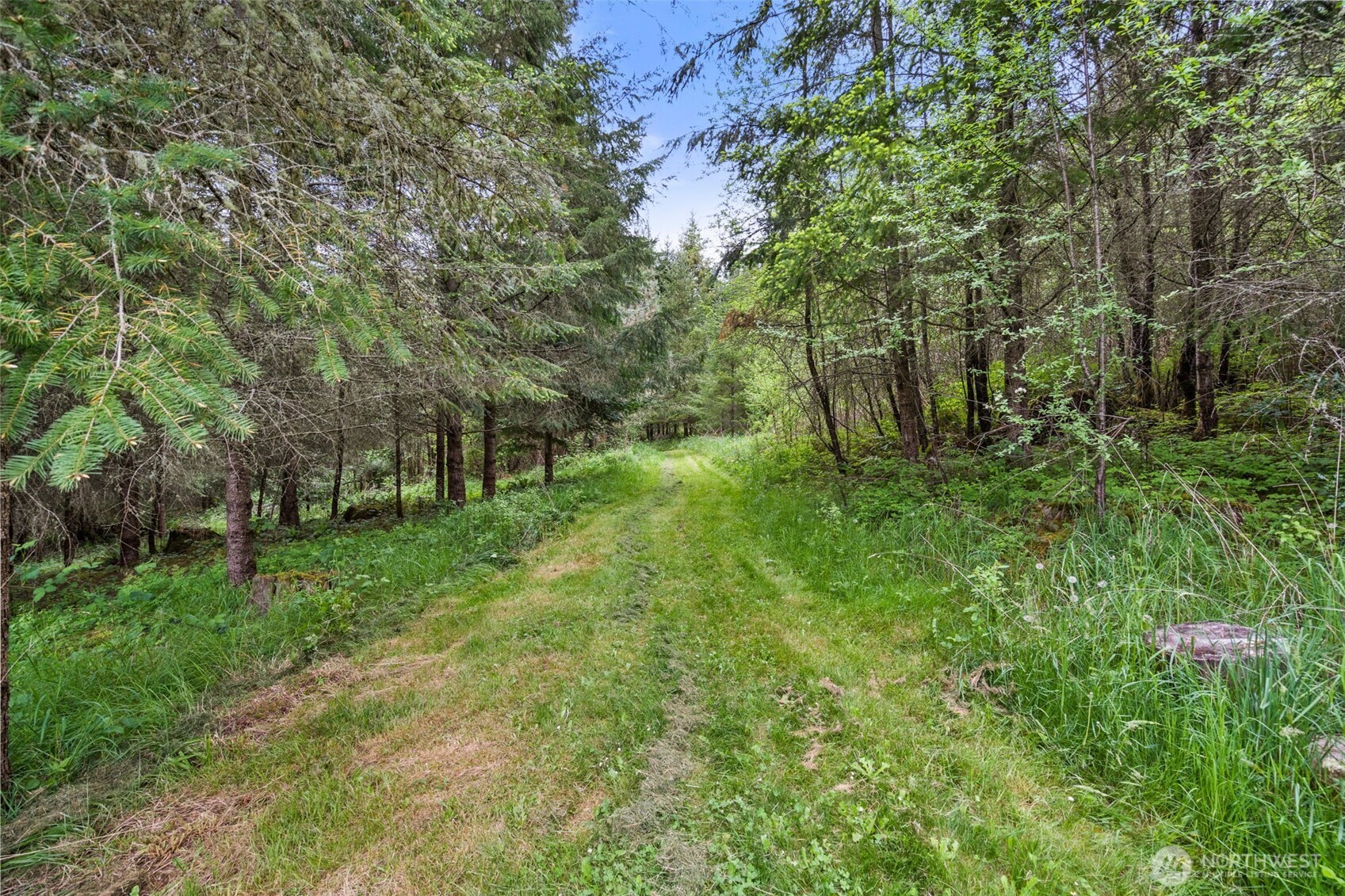 236 Chilvers Road Chehalis WA 98532
