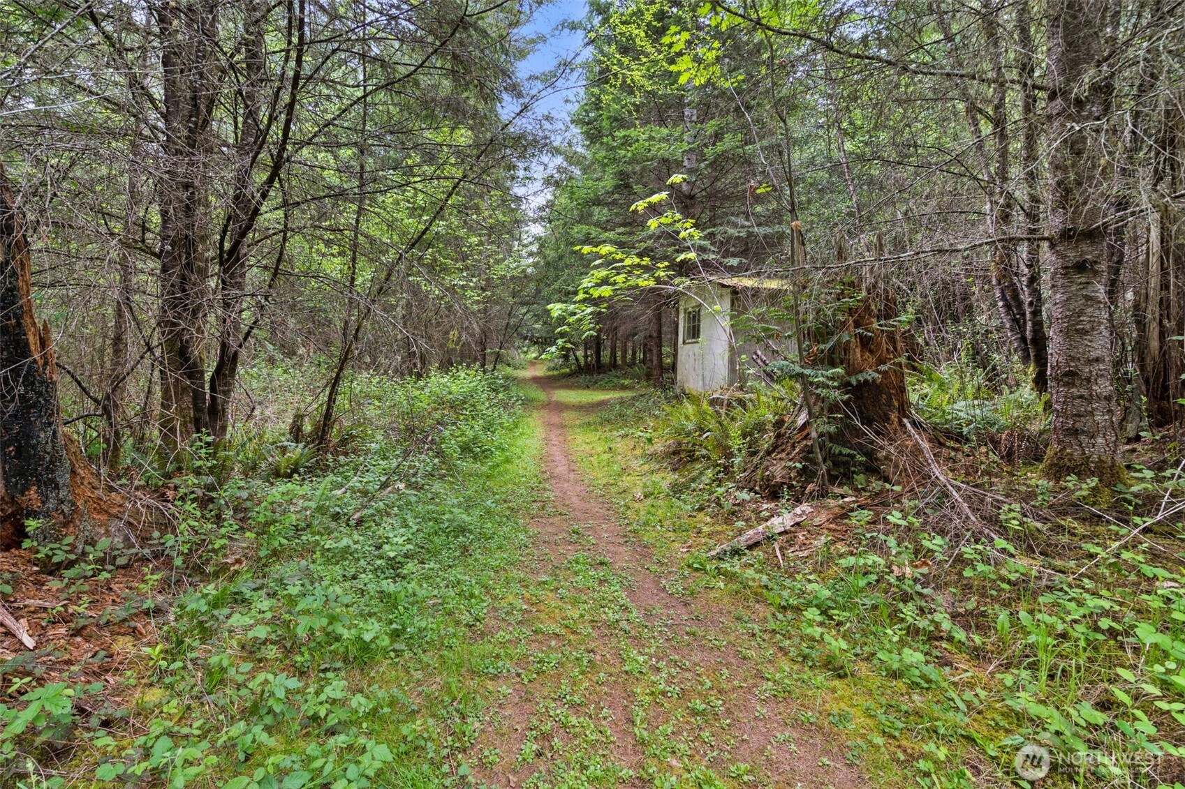 236 Chilvers Road Chehalis WA 98532
