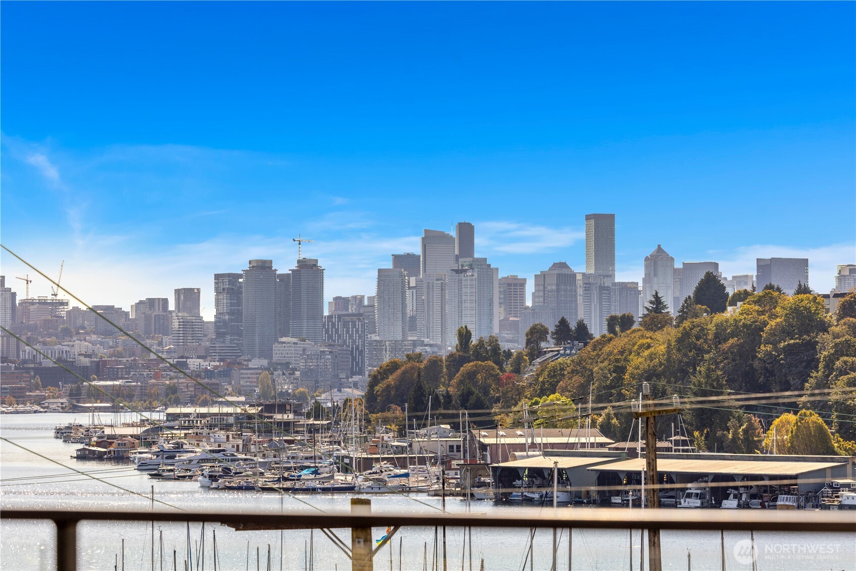 955 N 35th Street Seattle WA 98103