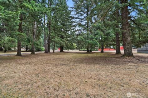 19121 Elderberry Street SW Rochester WA 98579