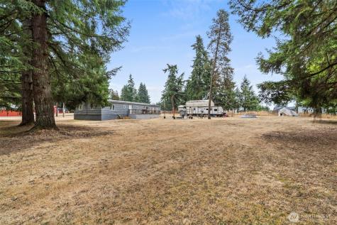 19121 Elderberry Street SW Rochester WA 98579