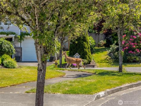 4029 Crystal Ridge Drive SE Puyallup WA 98372