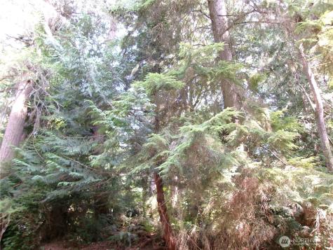 6724 SE Sedgwick Road Port Orchard WA 98366