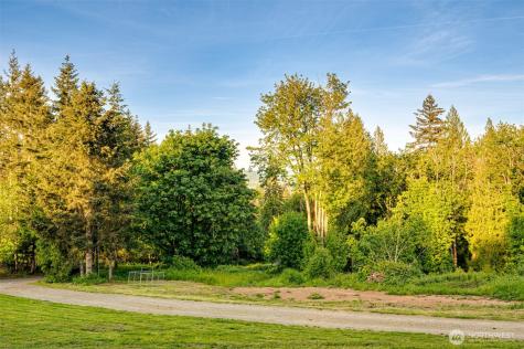 4017 NE 425th Street Woodland WA 98674