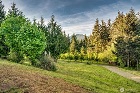 4017 NE 425th Street Woodland WA 98674
