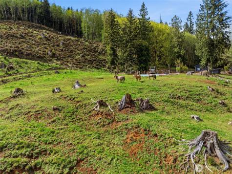 480 Apple Creek Road Longview WA 98632
