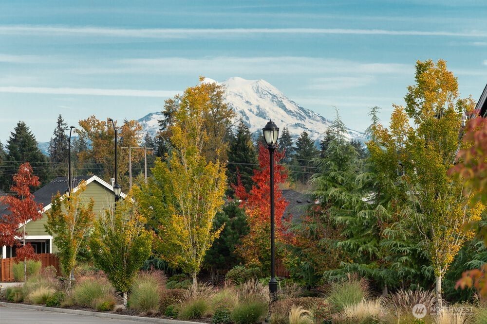 2931 Balsamroot Drive SE Lacey WA 98513