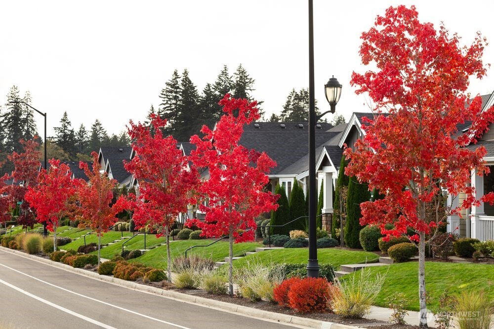 2931 Balsamroot Drive SE Lacey WA 98513