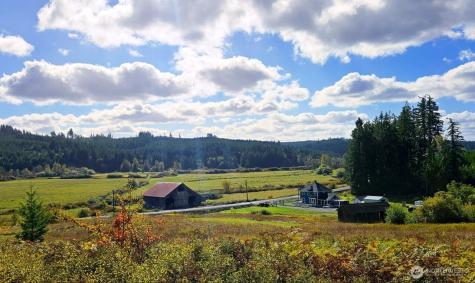 1604 Lincoln Creek Road Rochester WA 98579