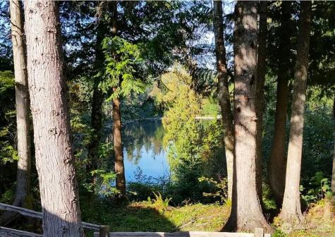 37627 W Lake Walker Drive SE Enumclaw WA 98022