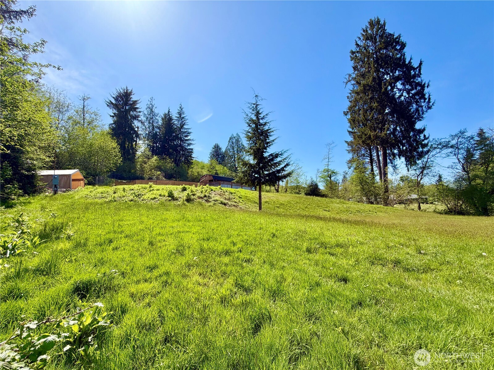 290 State Route 6 Raymond WA 98577