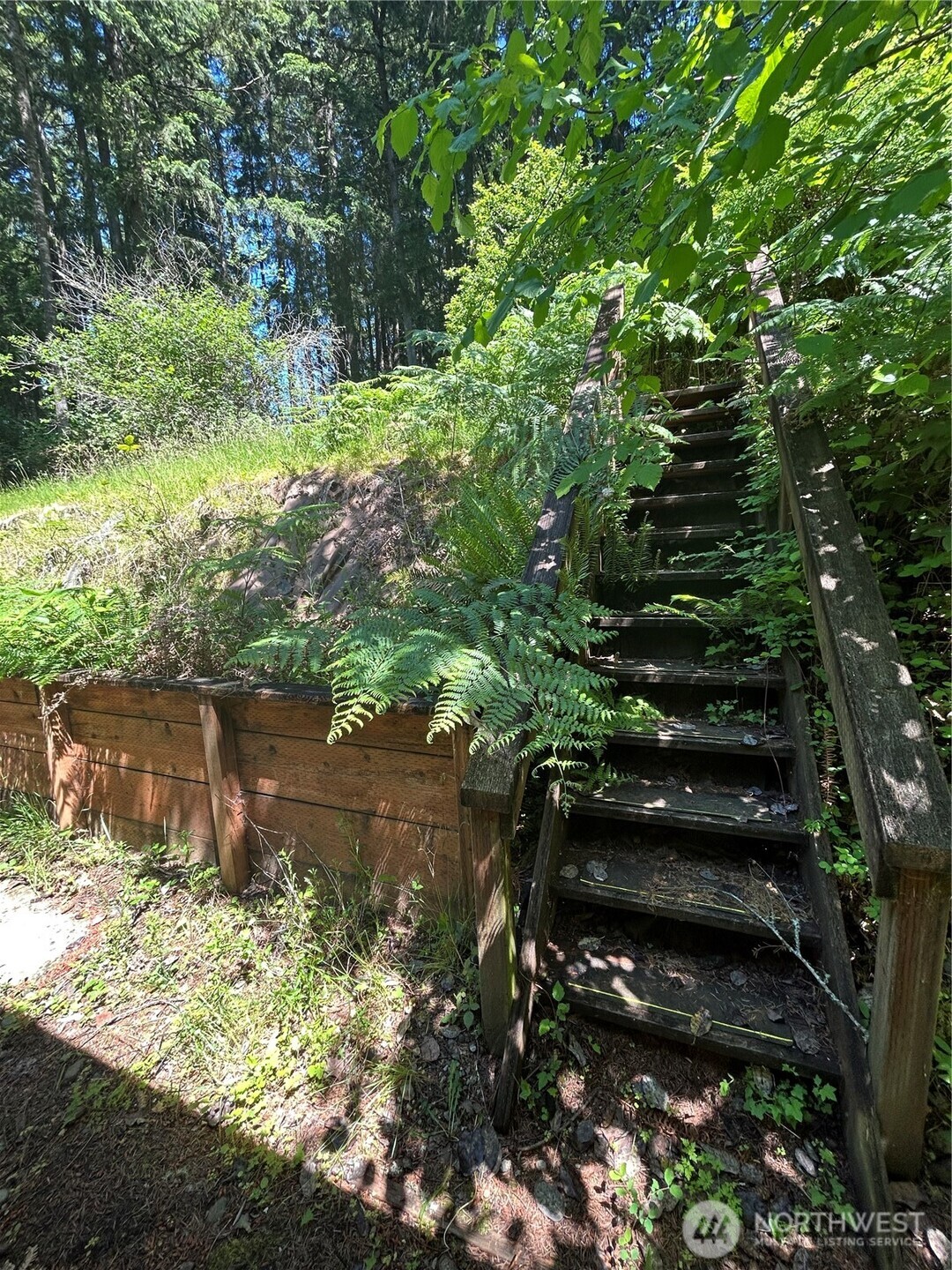 7808 Egret Drive SE Olympia WA 98513