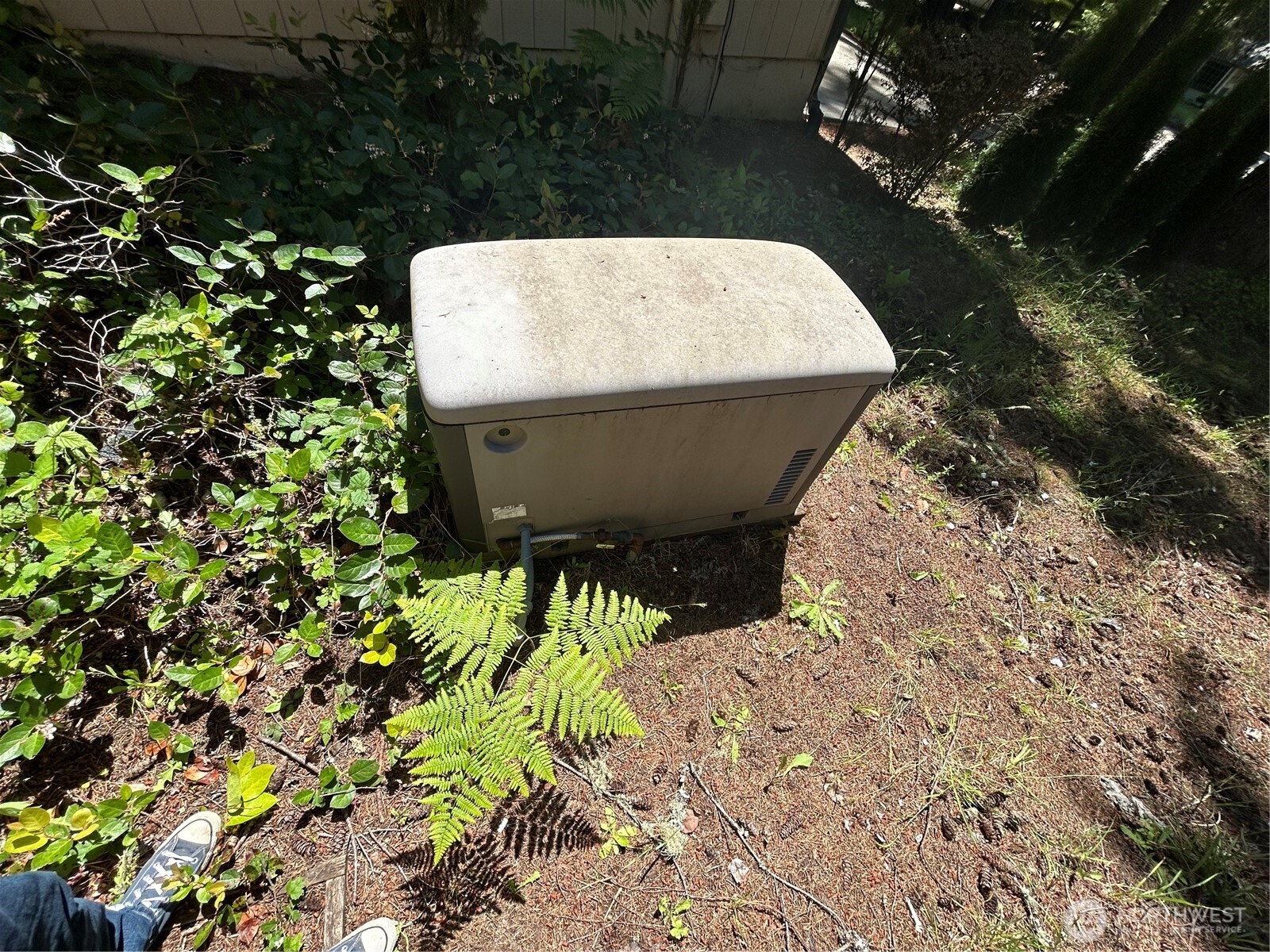 7808 Egret Drive SE Olympia WA 98513