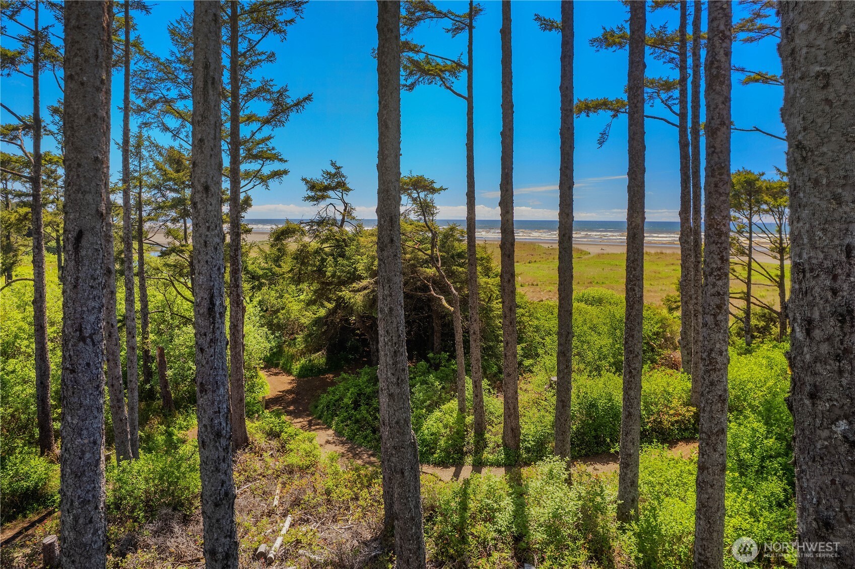 34 Seaside Lane Pacific Beach WA 98571