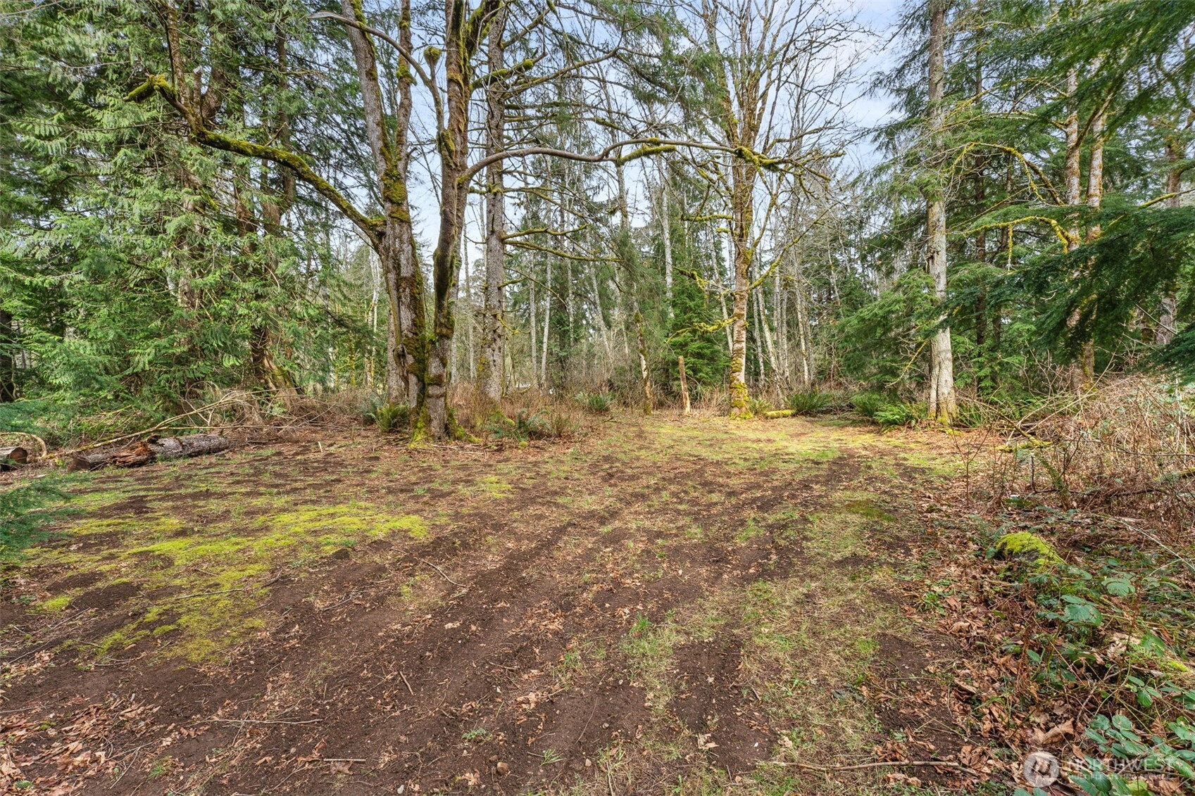 31530 SE 384th Street Enumclaw WA 98022
