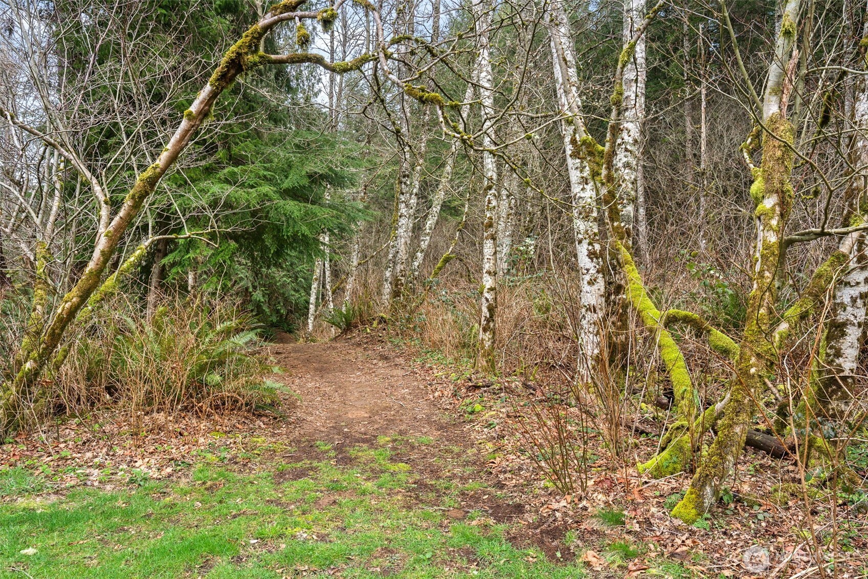 31530 SE 384th Street Enumclaw WA 98022