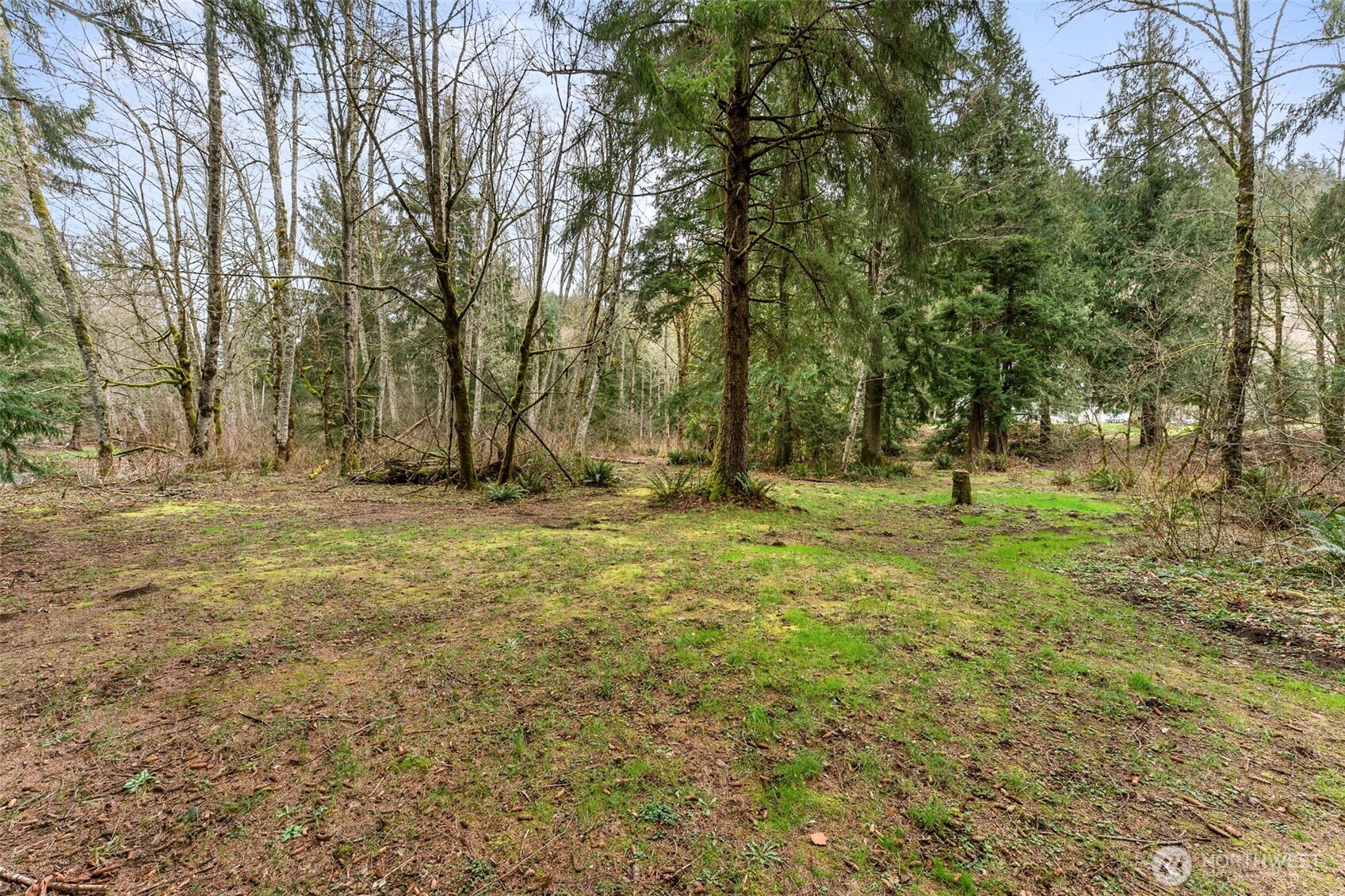 31530 SE 384th Street Enumclaw WA 98022