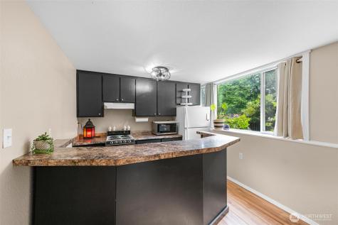 10507 167th Avenue SE Snohomish WA 98290