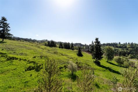 160 Windy River Kalama WA 98625