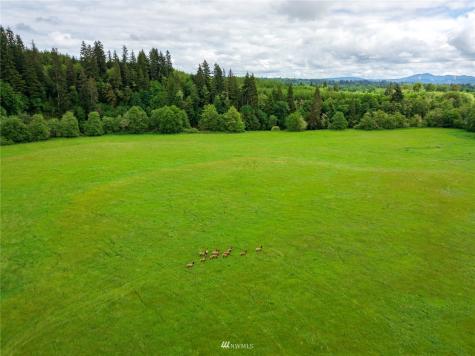 732 Satsop Road W Montesano WA 98563