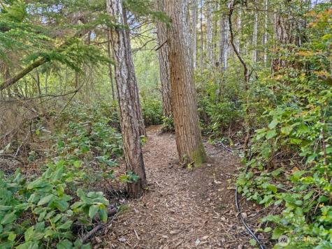 9355 Misery Point Road NW Seabeck WA 98380