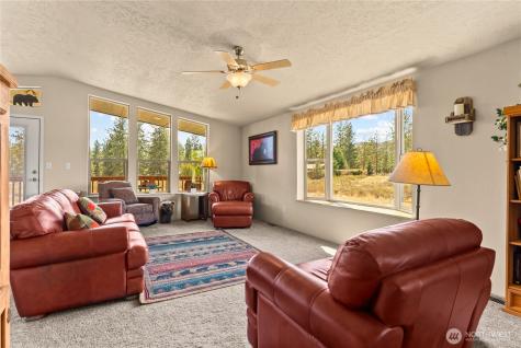 88 Horizon View Court Winthrop WA 98862