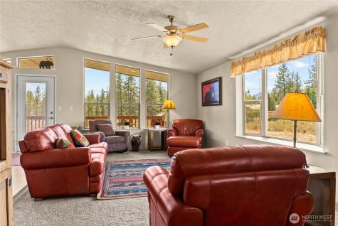 88 Horizon View Court Winthrop WA 98862