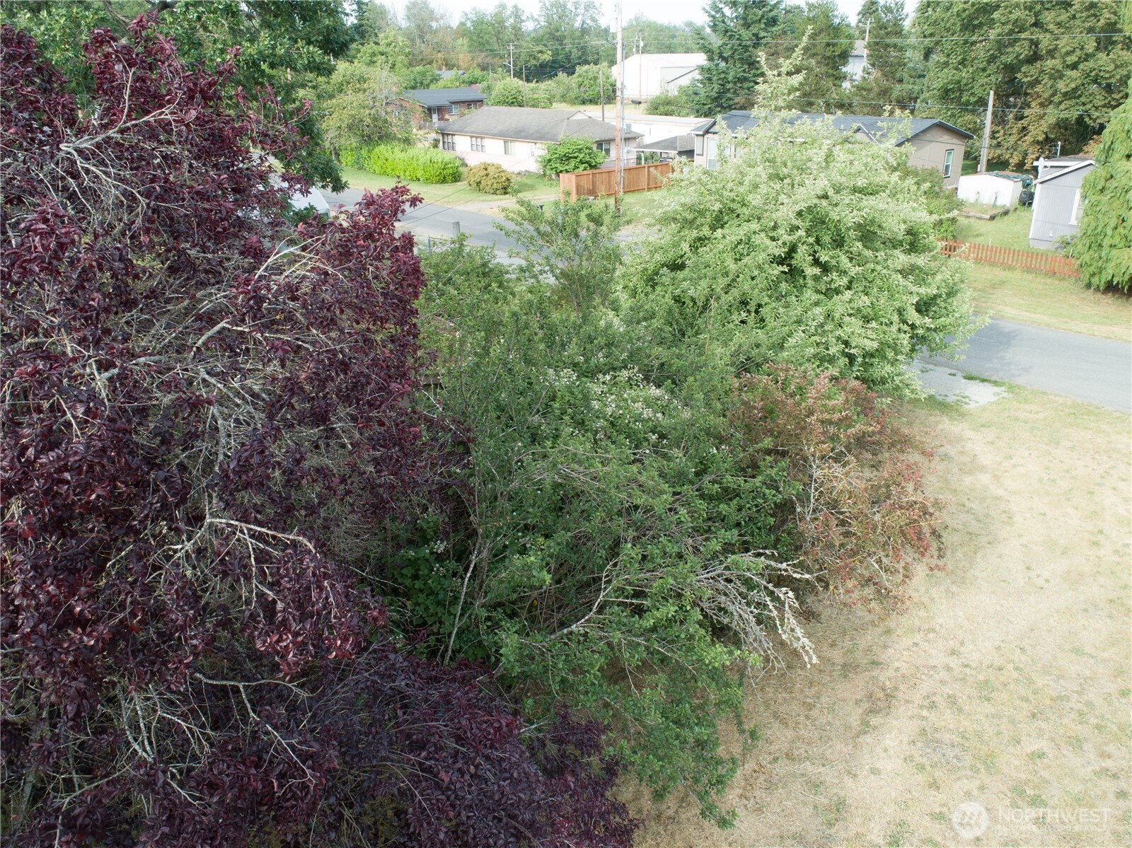 312 2nd Street W Roy WA 98580
