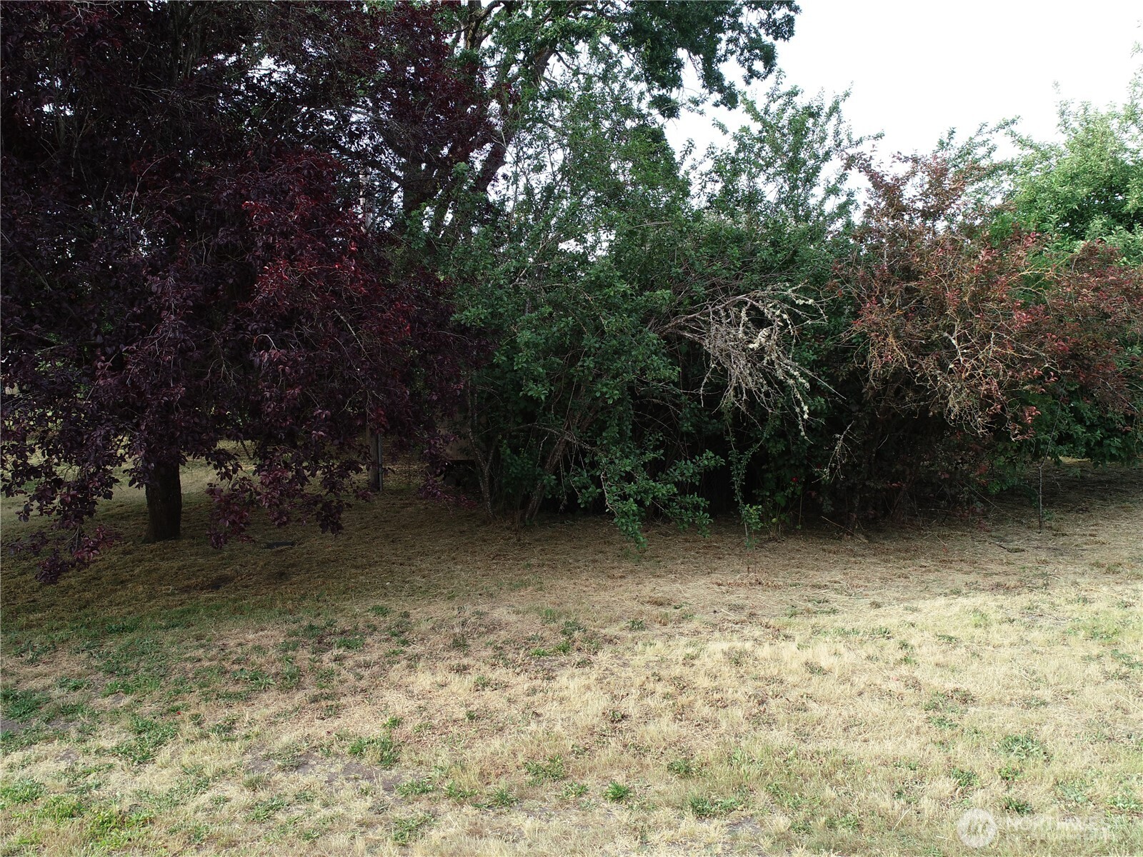 312 2nd Street W Roy WA 98580
