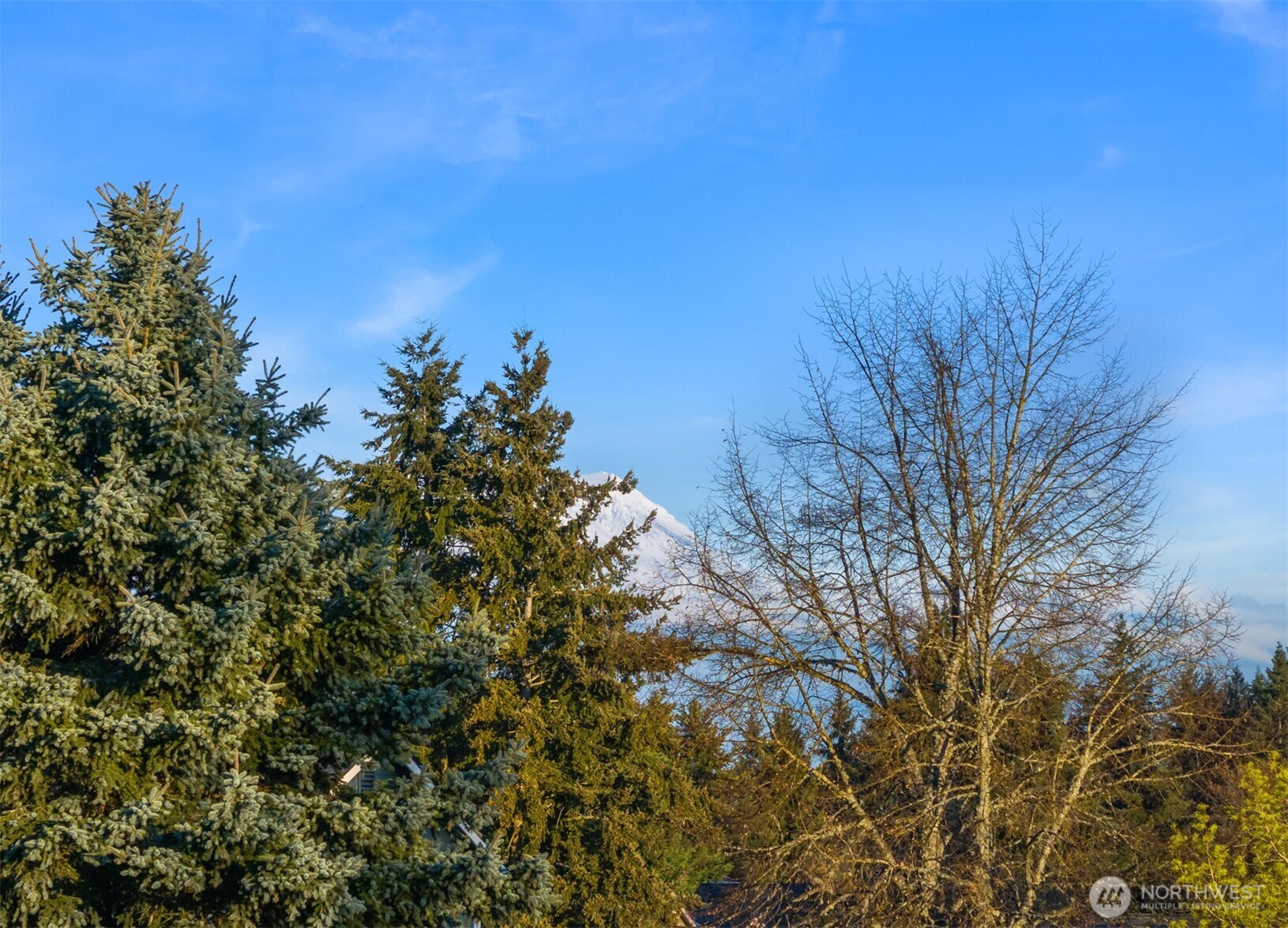 10601 192nd Street Court E Graham WA 98338